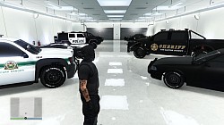 Cop cars